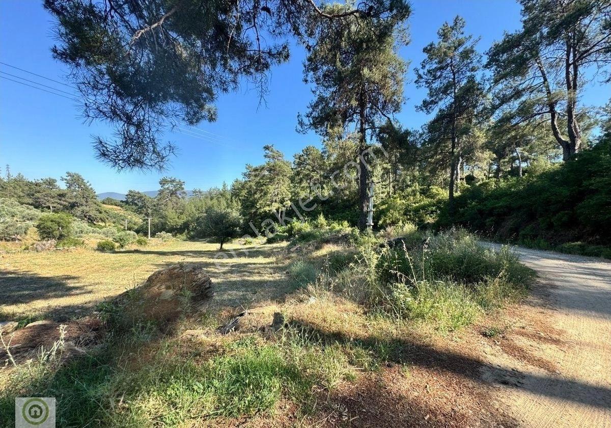 Muğla / Yatağan Kozağaç Mahallesi Kızılçırpı Mevkinde Satılık Tarla - Görsel 9