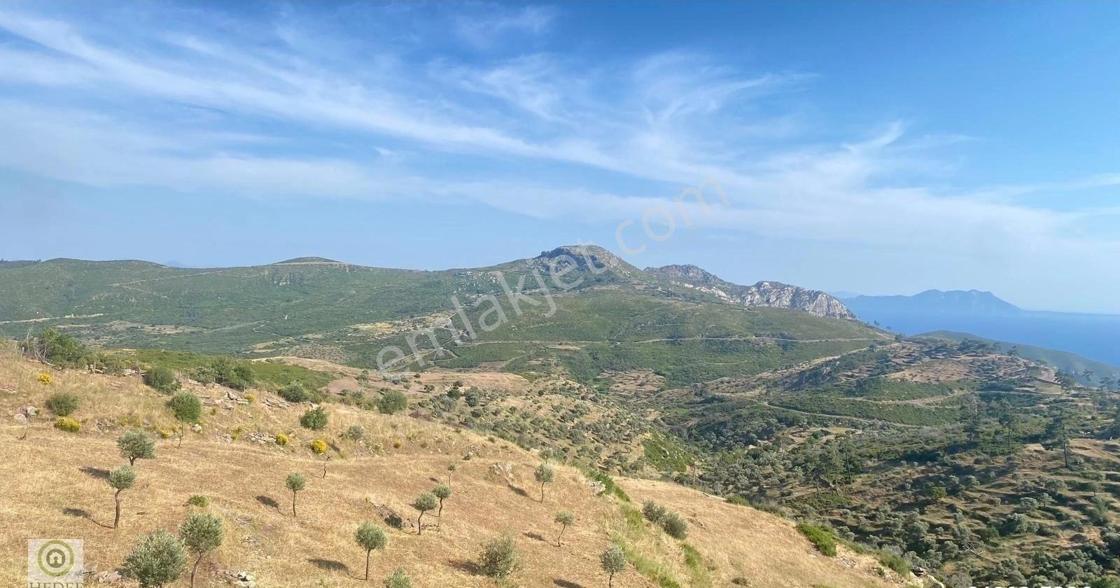 Milas Akçakayada Deniz Manzaralı Satılık Arsa - Görsel 4