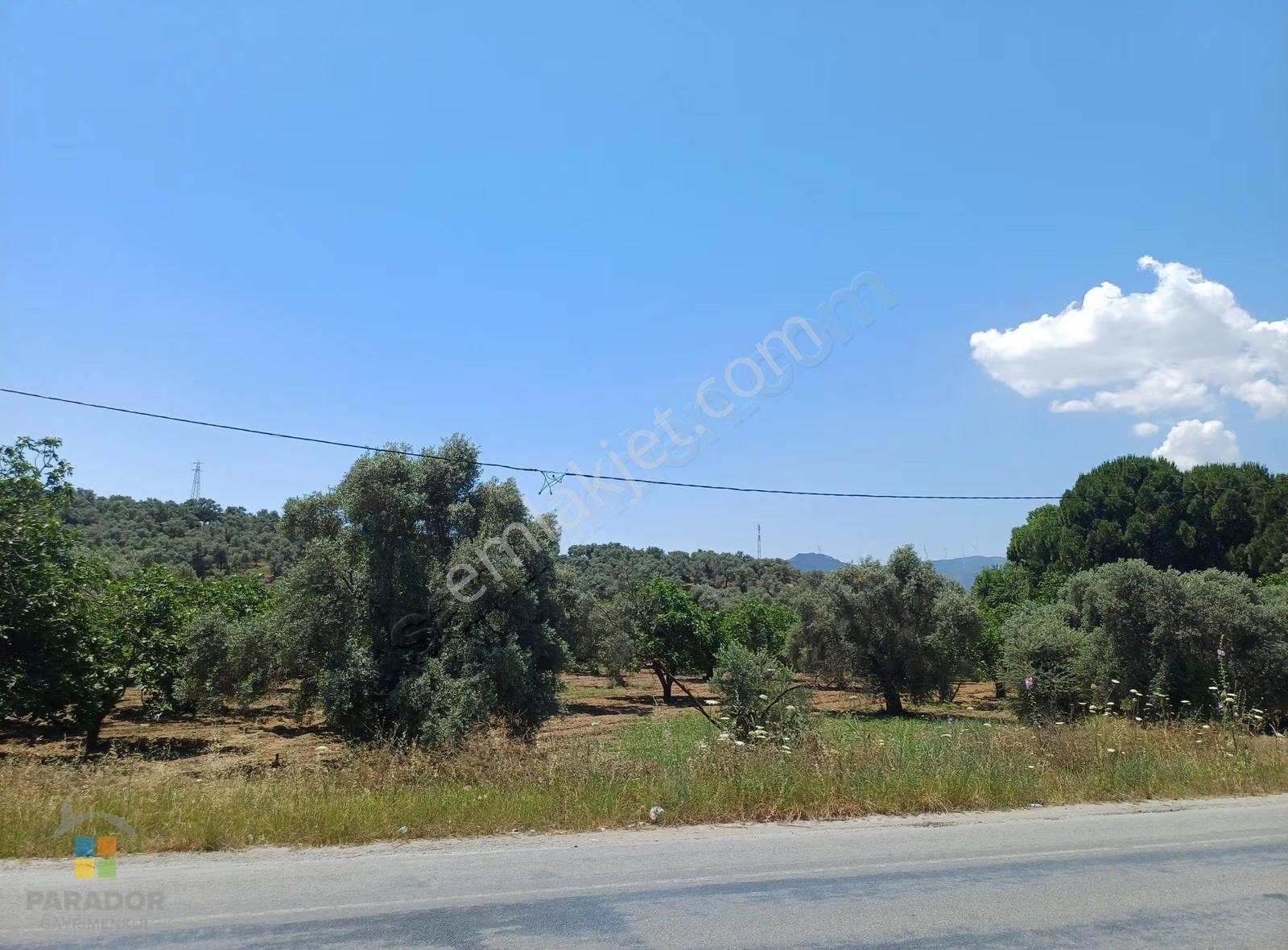 Aydın D 550 Karayolu Cepheli 29.464 M² Yatırımlık Arazi - Görsel 22