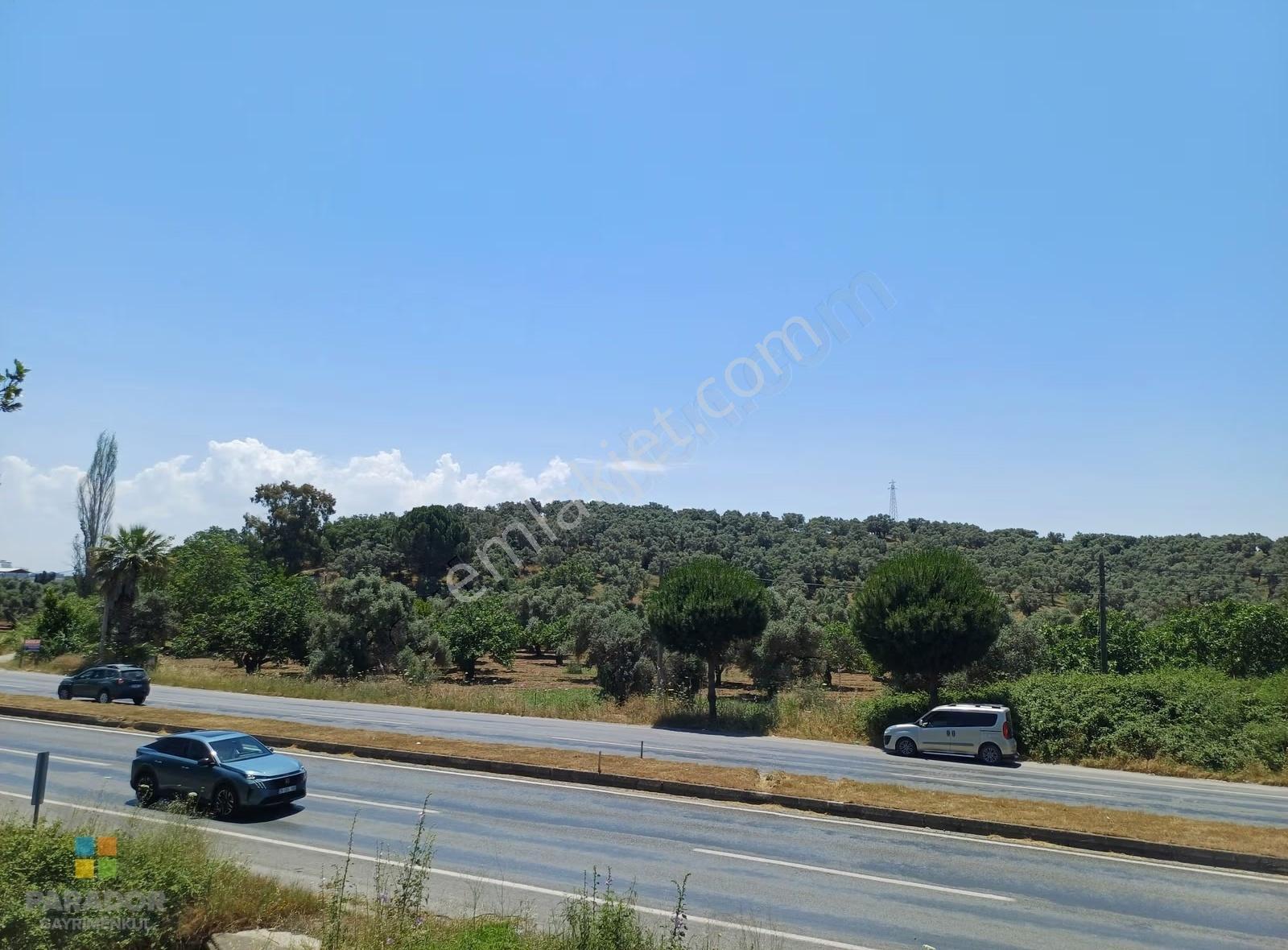 Aydın D 550 Karayolu Cepheli 29.464 M² Yatırımlık Arazi - Görsel 9