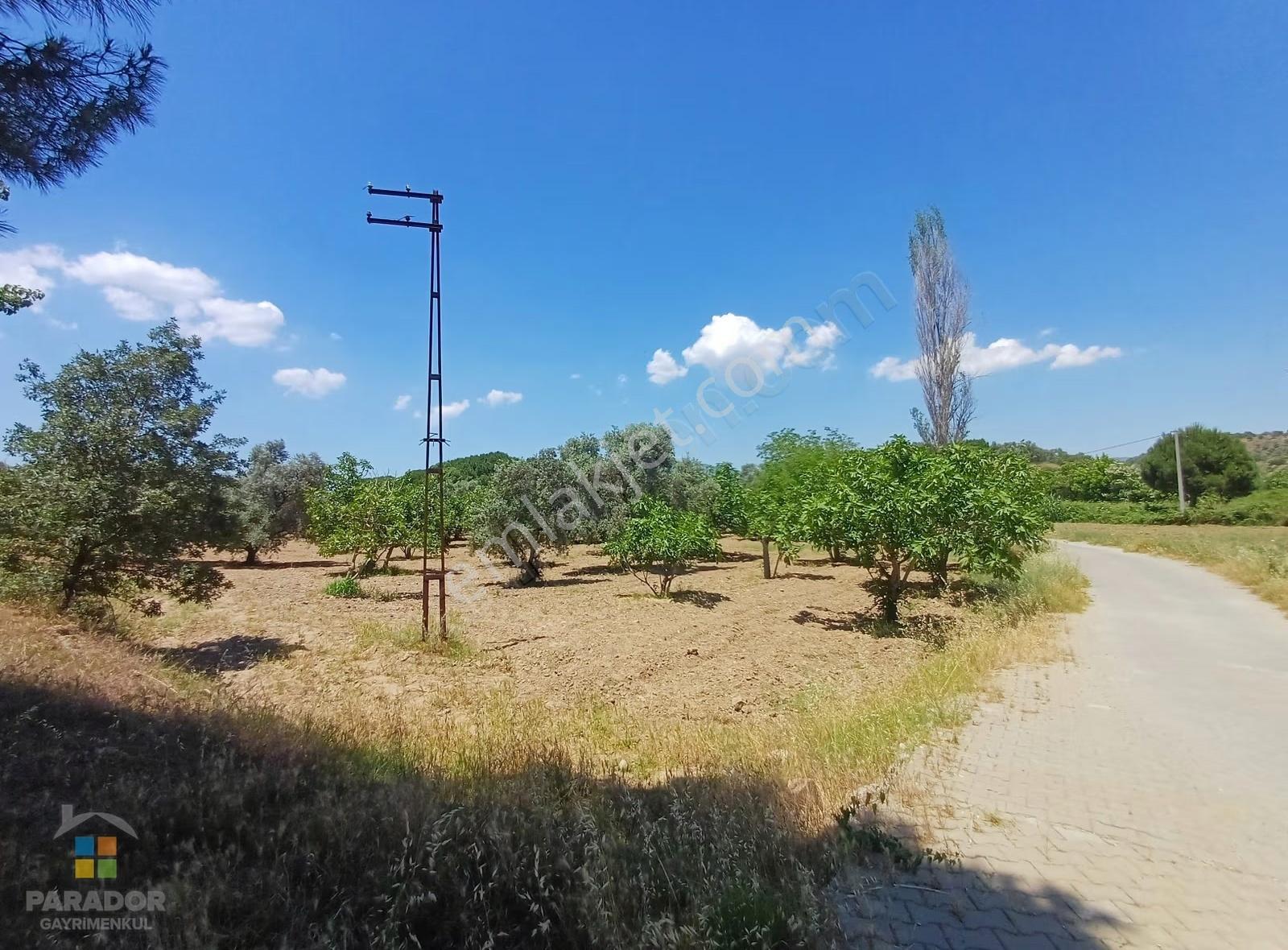 Aydın D 550 Karayolu Cepheli 29.464 M² Yatırımlık Arazi - Görsel 14