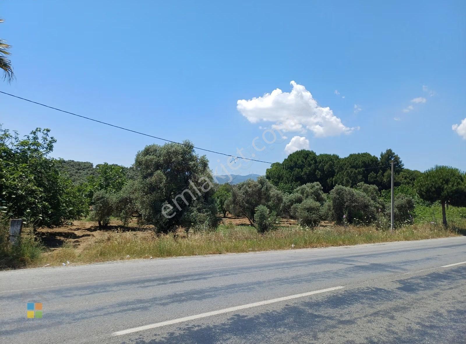 Aydın D 550 Karayolu Cepheli 29.464 M² Yatırımlık Arazi - Görsel 23