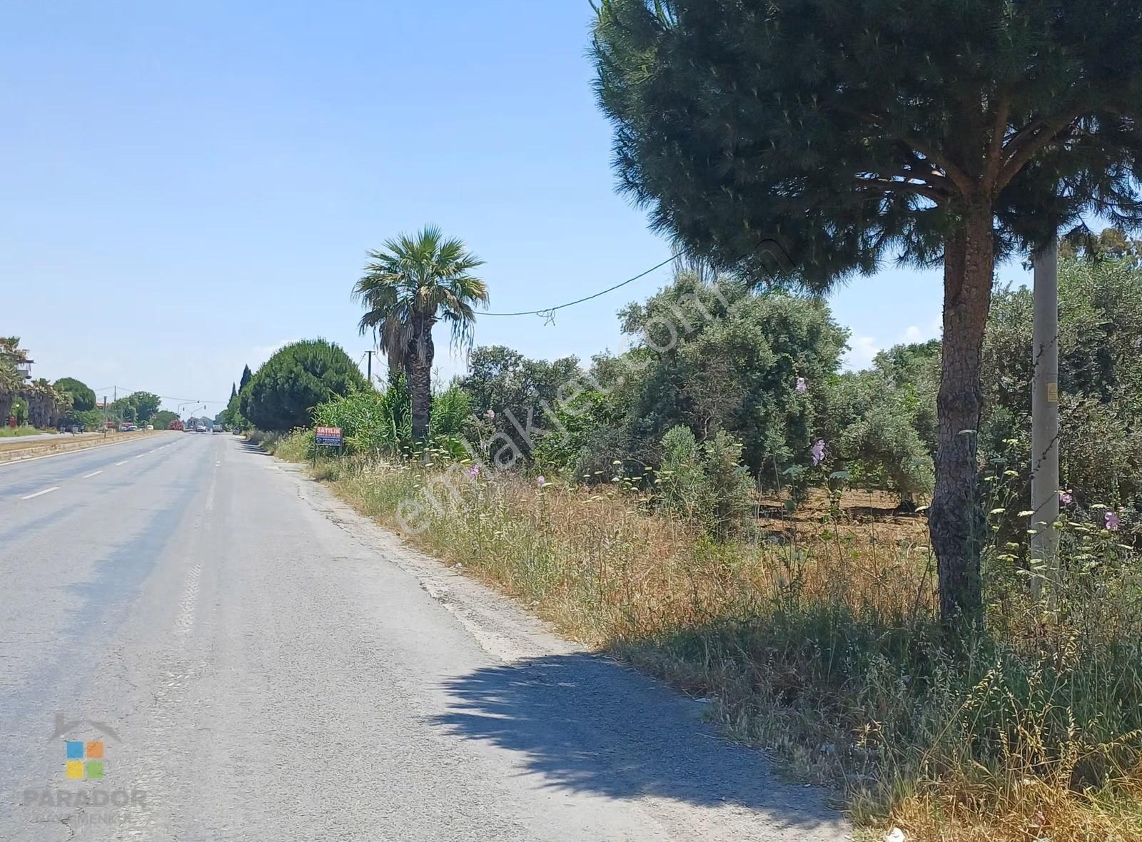 Aydın D 550 Karayolu Cepheli 29.464 M² Yatırımlık Arazi - Görsel 4