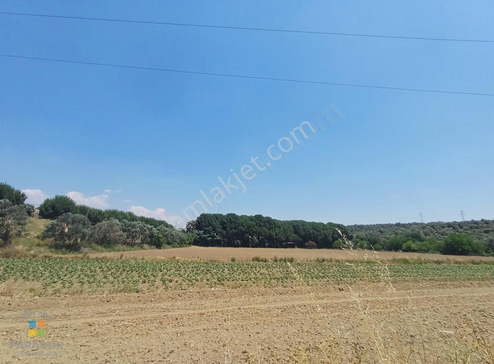 Aydın D 550 Karayolu Cepheli 15.993 M² Yatırımlık Arazi - Görsel 20