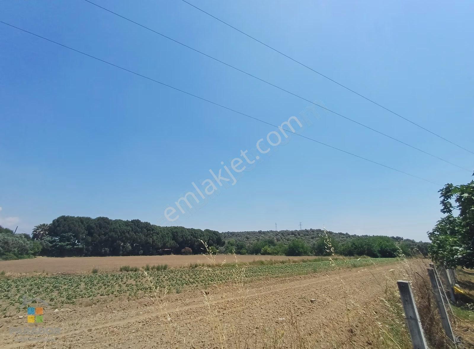 Aydın D 550 Karayolu Cepheli 15.993 M² Yatırımlık Arazi - Görsel 7