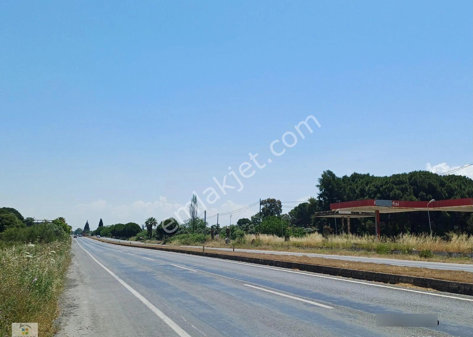 Aydın D 550 Karayolu Cepheli 29.464 M² Yatırımlık Arazi - Görsel 4