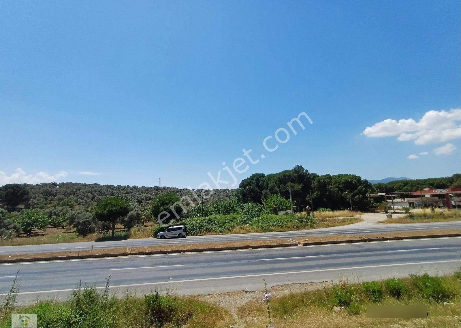 Aydın D 550 Karayolu Cepheli 29.464 M² Yatırımlık Arazi - Görsel 12