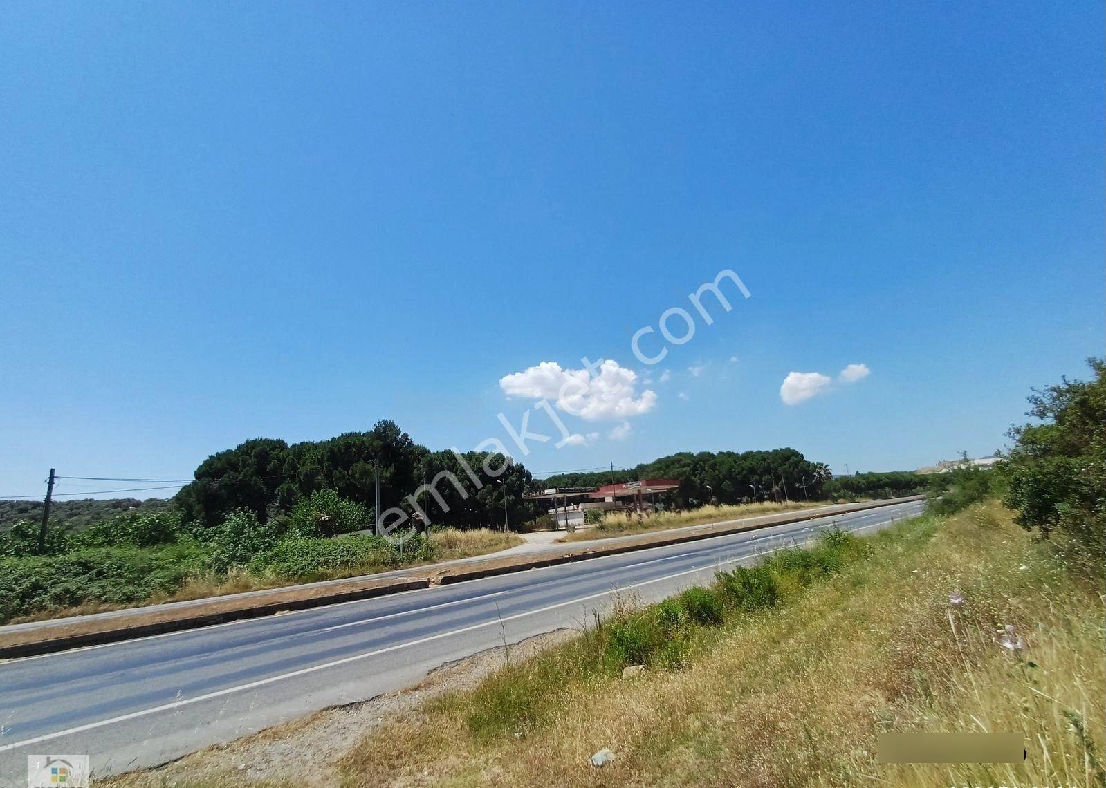 Aydın D 550 Karayolu Cepheli 29.464 M² Yatırımlık Arazi - Görsel 9