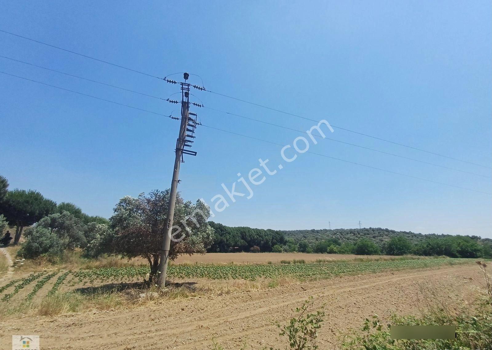 Aydın D 550 Karayolu Cepheli 15.993 M² Yatırımlık Arazi - Görsel 11