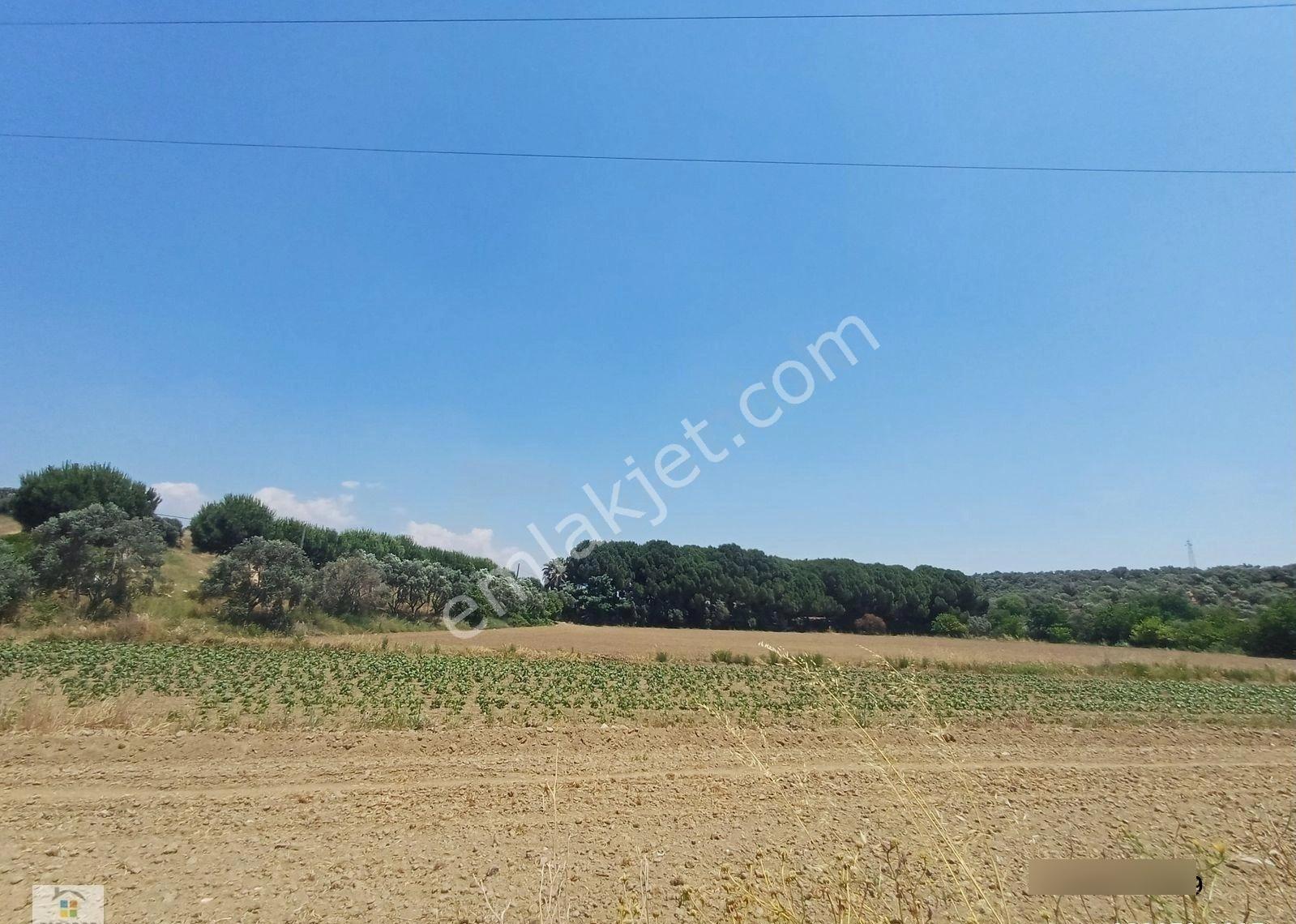 Aydın D 550 Karayolu Cepheli 15.993 M² Yatırımlık Arazi - Görsel 20
