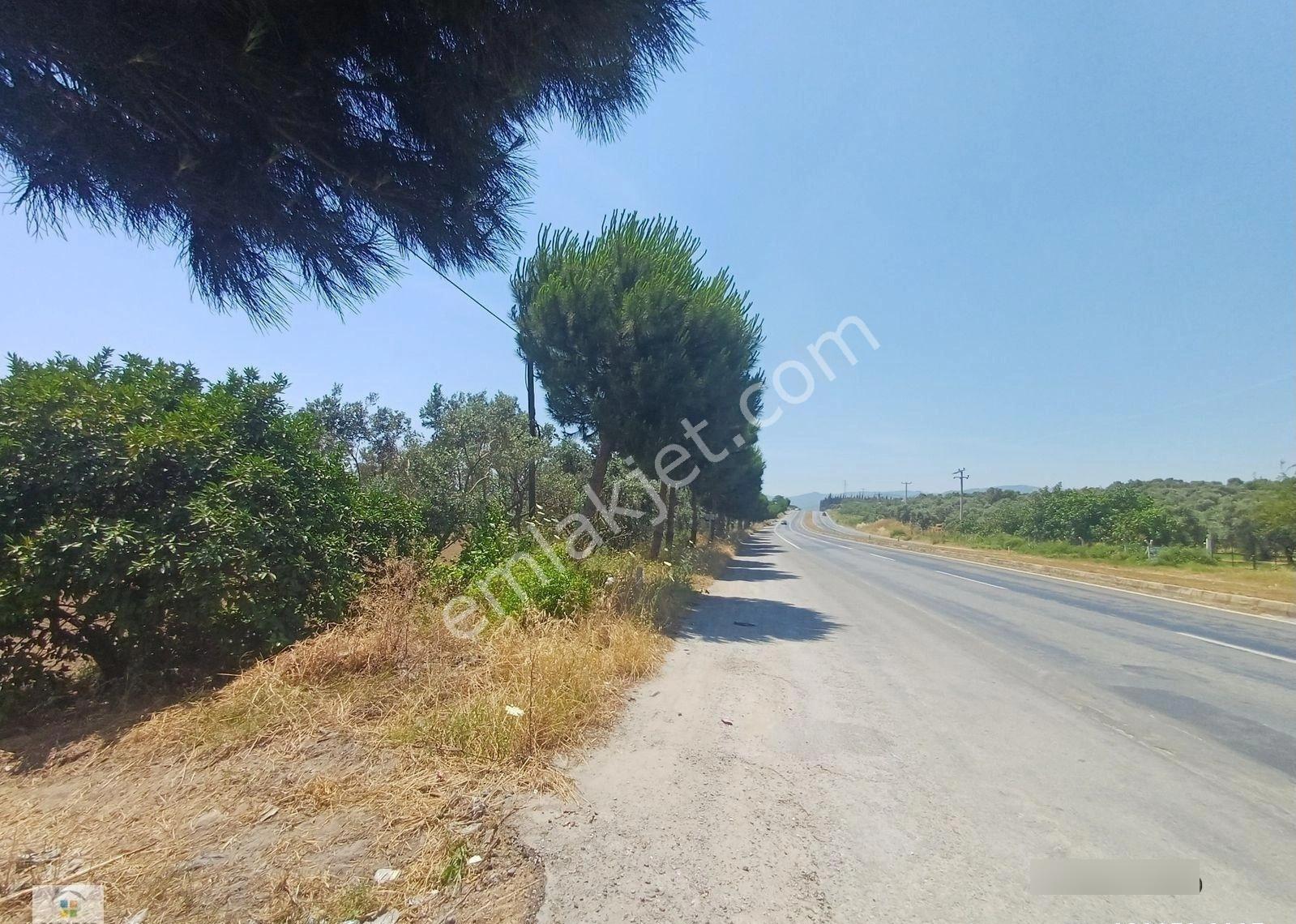 Aydın D 550 Karayolu Cepheli 15.993 M² Yatırımlık Arazi - Görsel 10