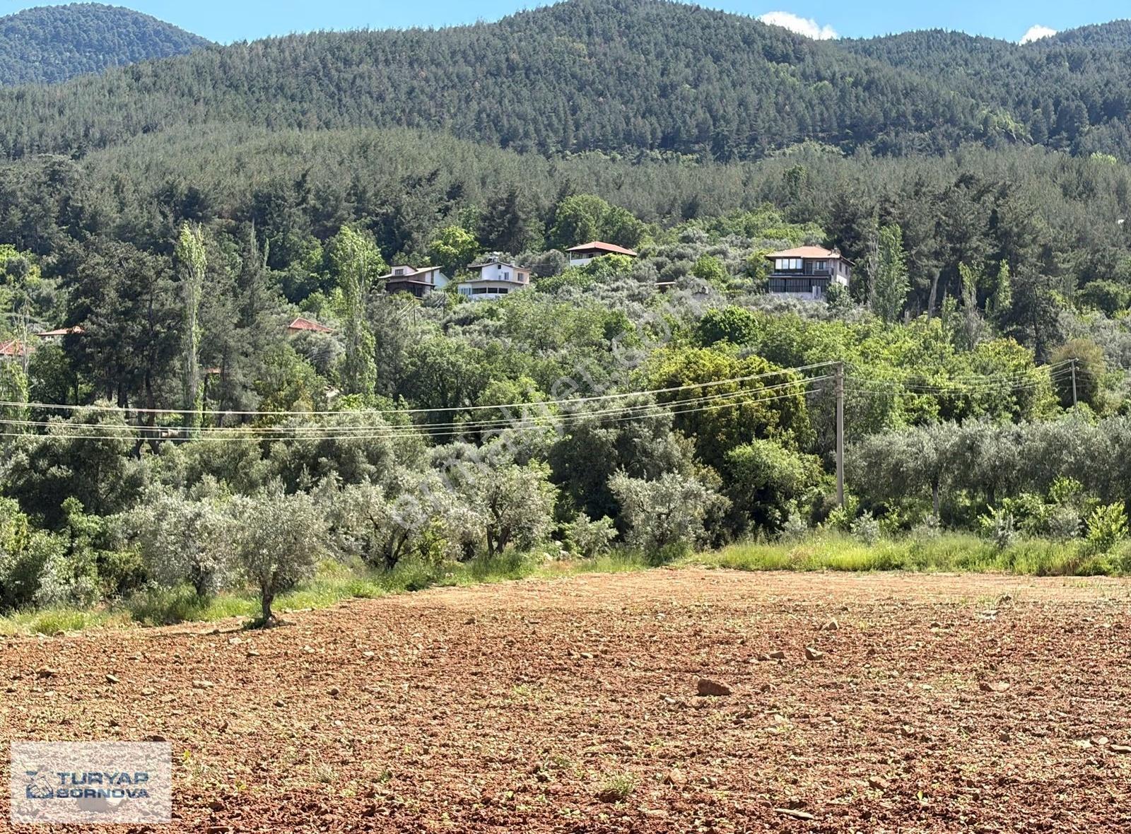 Aydın Karacasu'da Kahvedersi Yolu Üzerinde 22916m2 Satılık Tarla - Görsel 10