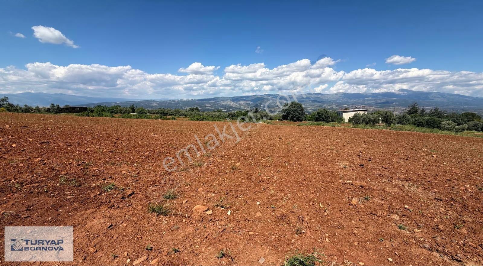 Aydın Karacasu'da Kahvedersi Yolu Üzerinde 22916m2 Satılık Tarla - Görsel 14