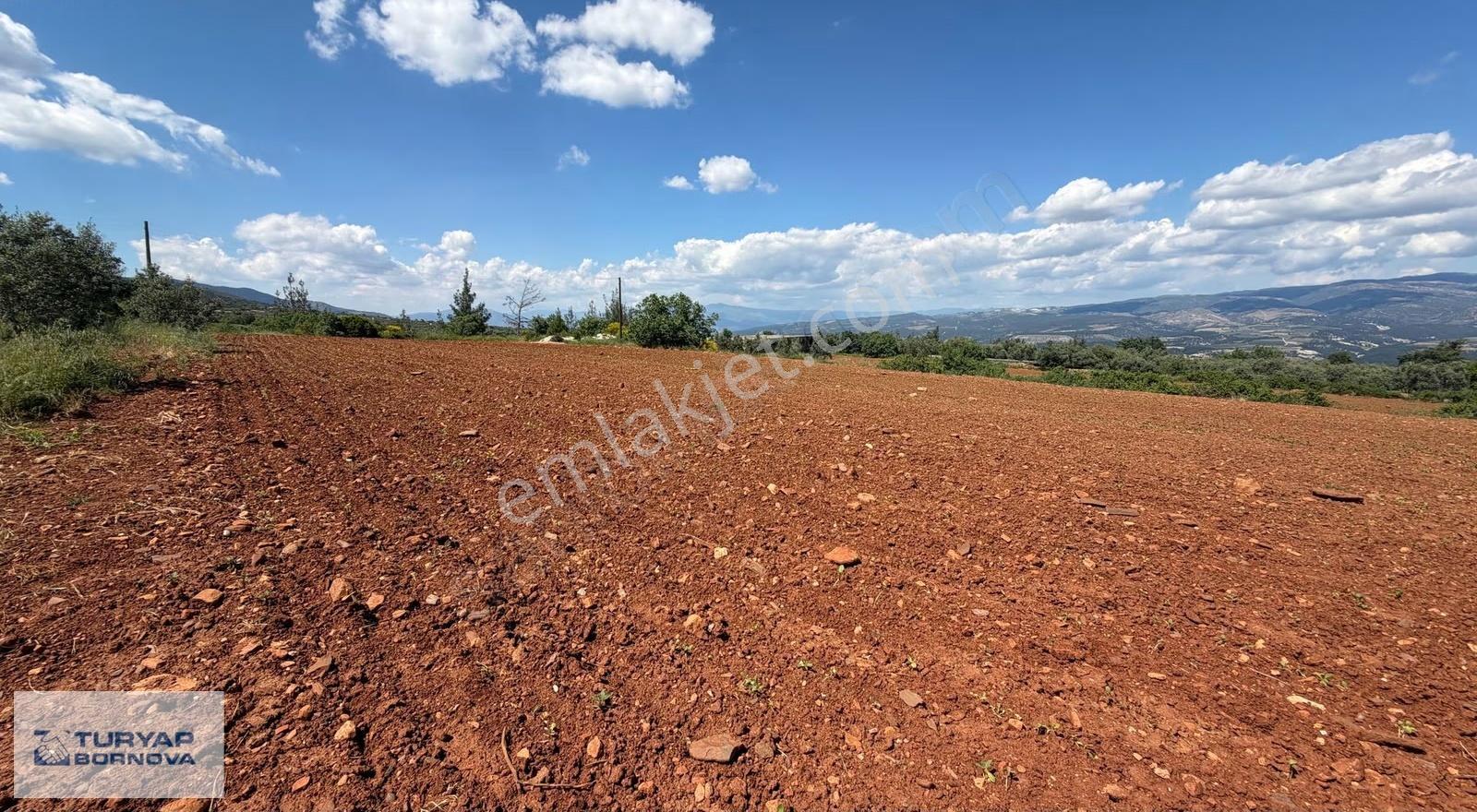 Aydın Karacasu'da Kahvedersi Yolu Üzerinde 22916m2 Satılık Tarla - Görsel 13