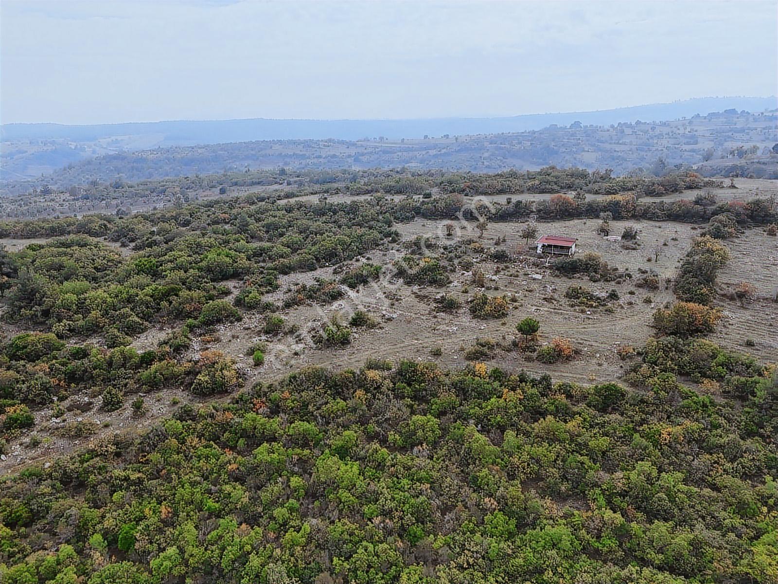 Balıkesir Altıeylül Cinge De Bölgenin En Uygun Arazisi - Görsel 24