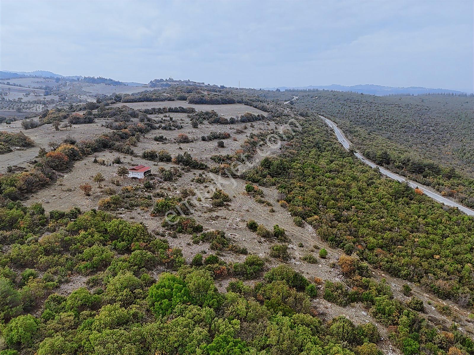 Balıkesir Altıeylül Cinge De Bölgenin En Uygun Arazisi - Görsel 25