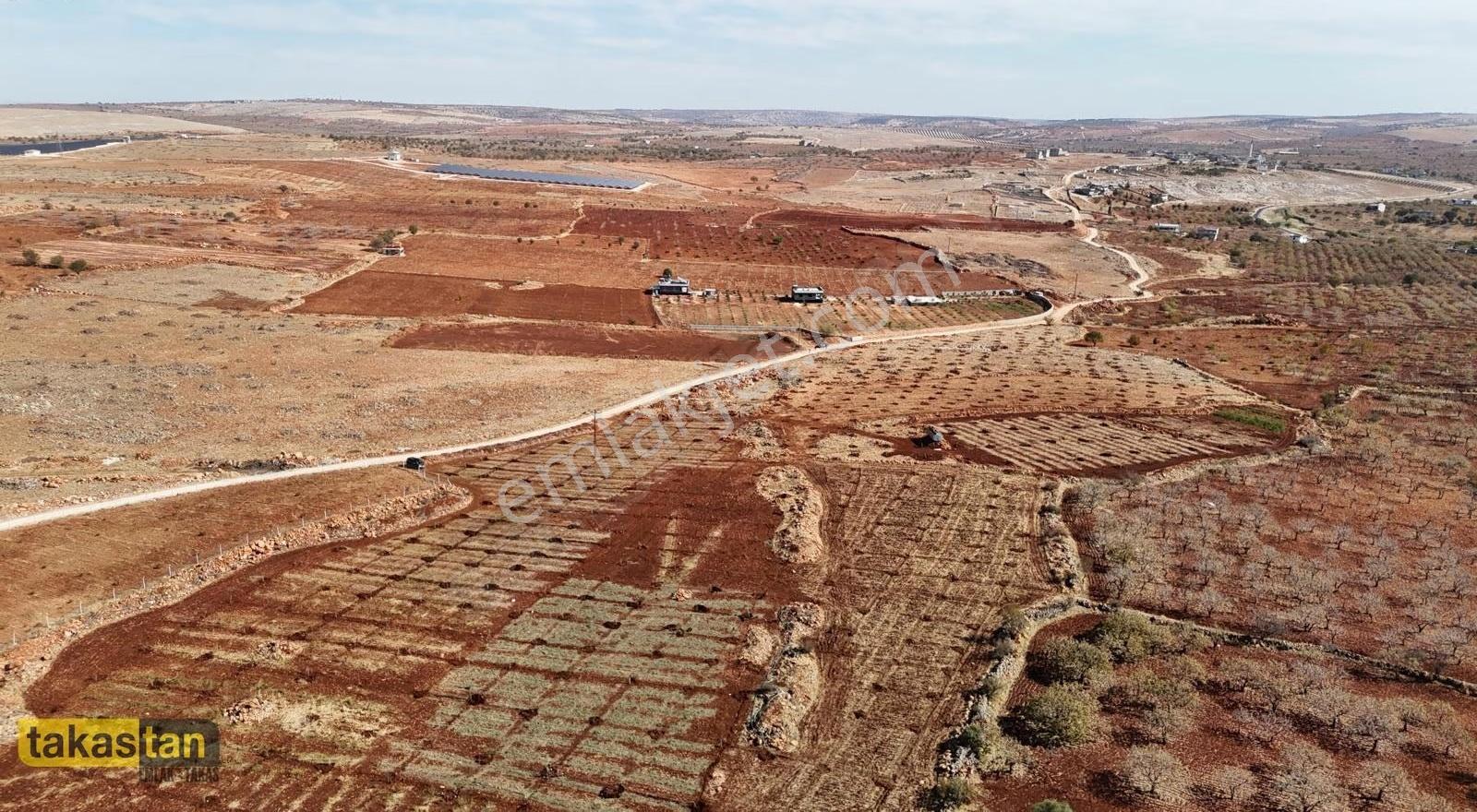 Gaziantep'e Yakın Satılık 5000 M² Arsa: Yatırım Fırsatı! - Görsel 33