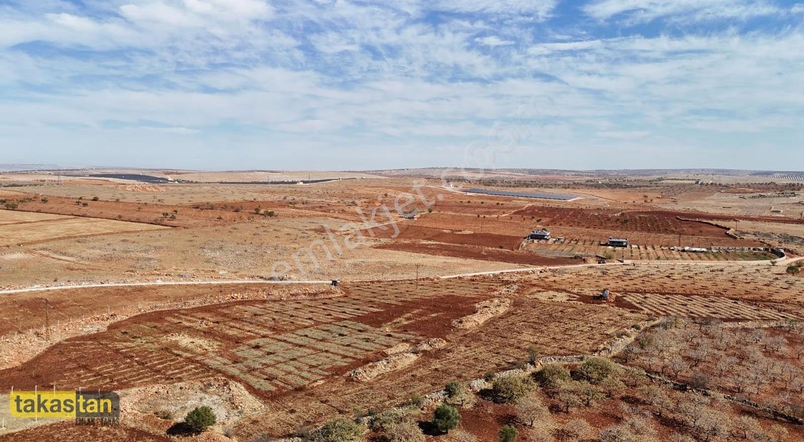 Gaziantep'e Yakın Satılık 5000 M² Arsa: Yatırım Fırsatı! - Görsel 25