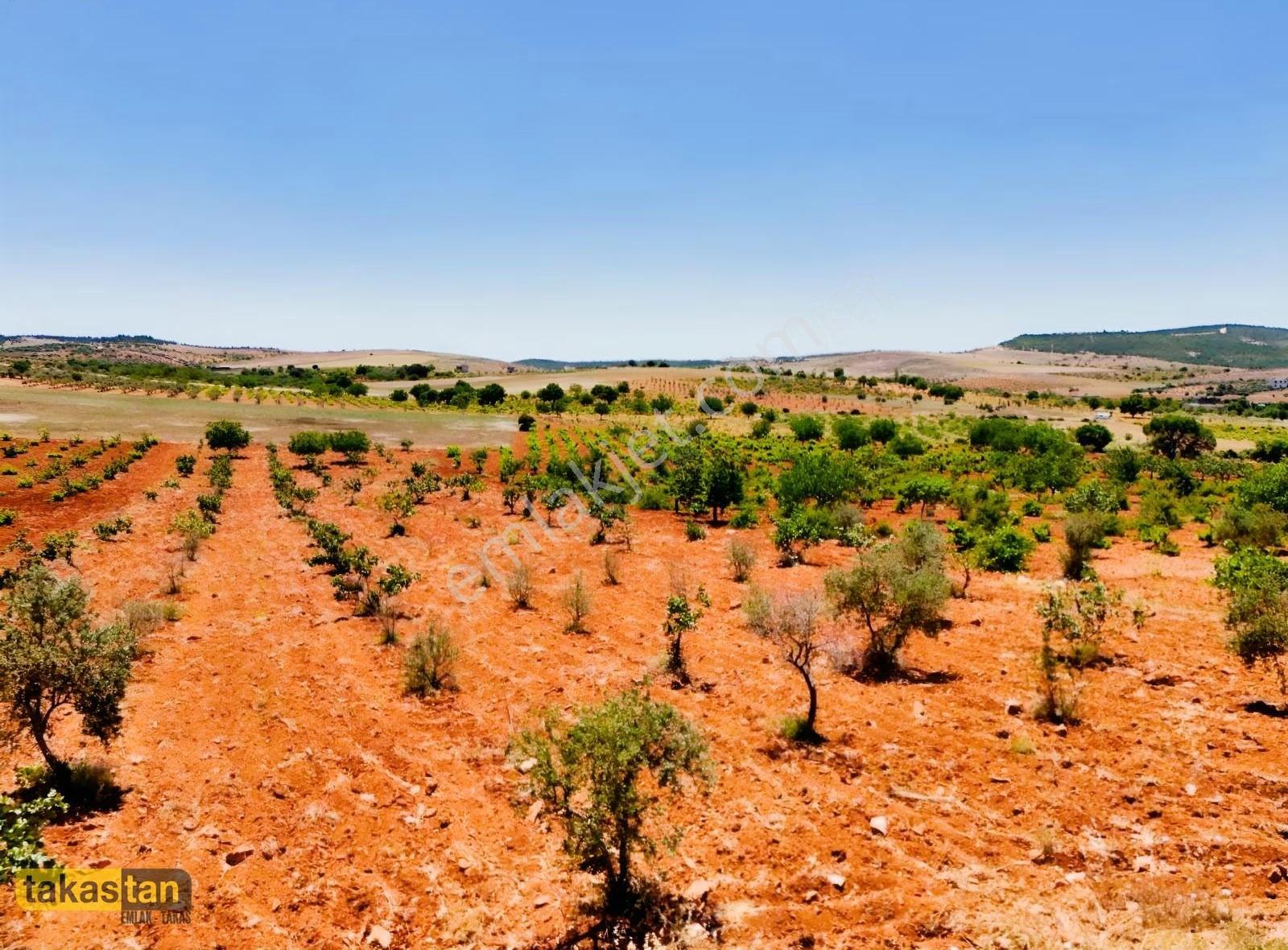 Şehre 10 Dk, Yola Cepheli, Manzaralı Tek Tapu Arsa - Görsel 6