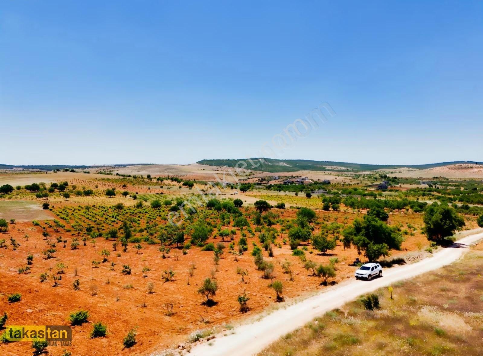 Şehre 10 Dk, Yola Cepheli, Manzaralı Tek Tapu Arsa - Görsel 17