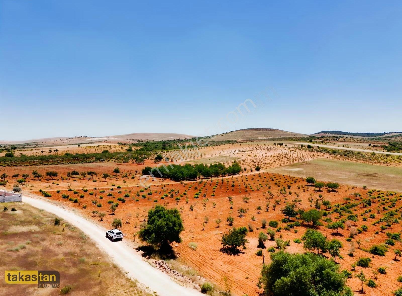 Şehre 10 Dk, Yola Cepheli, Manzaralı Tek Tapu Arsa - Görsel 13