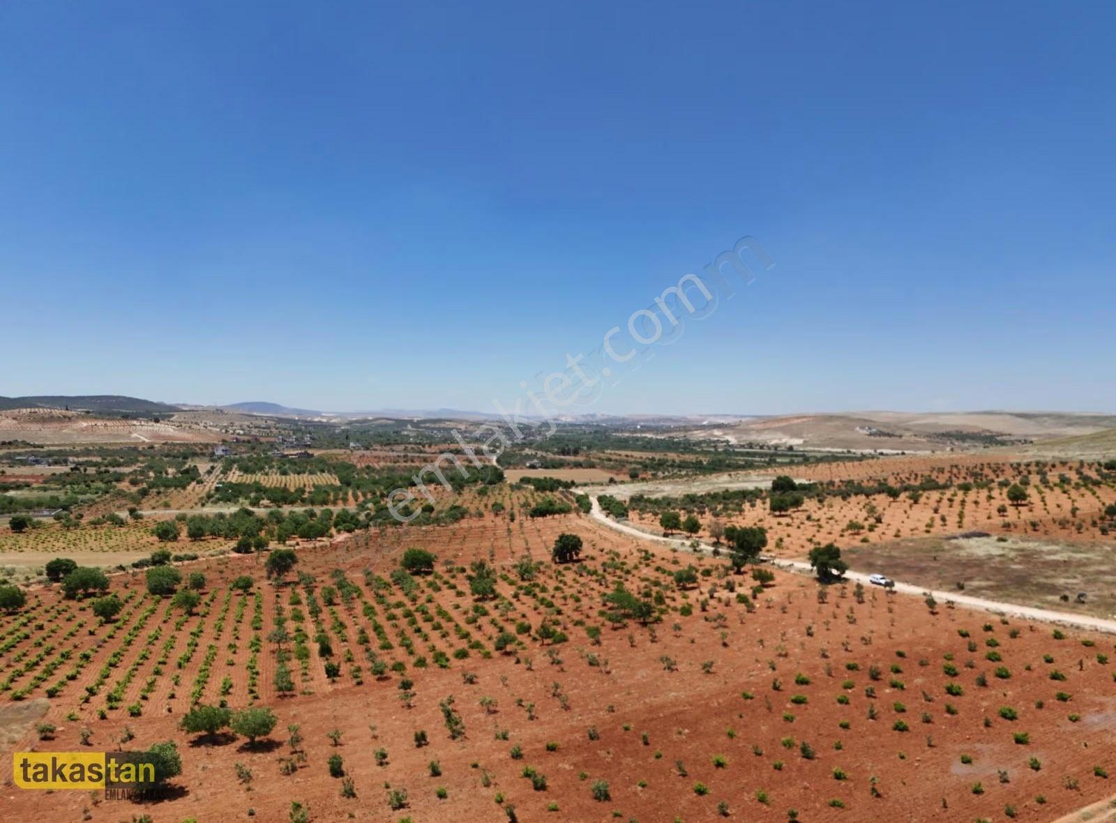 Şehre 10 Dk, Yola Cepheli, Manzaralı Tek Tapu Arsa - Görsel 8
