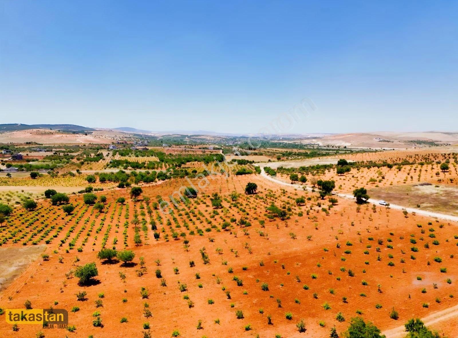 Şehre 10 Dk, Yola Cepheli, Manzaralı Tek Tapu Arsa - Görsel 21