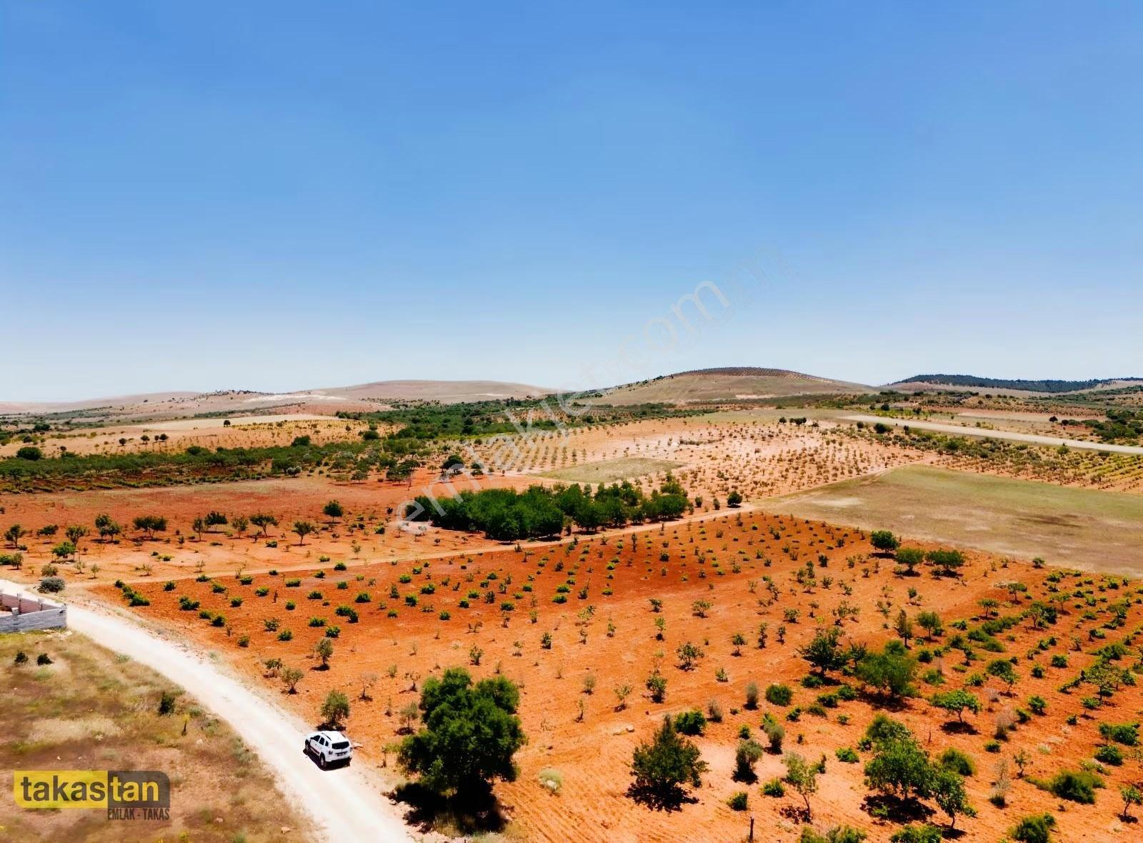 Şehre 10 Dk, Yola Cepheli, Manzaralı Tek Tapu Arsa - Görsel 22