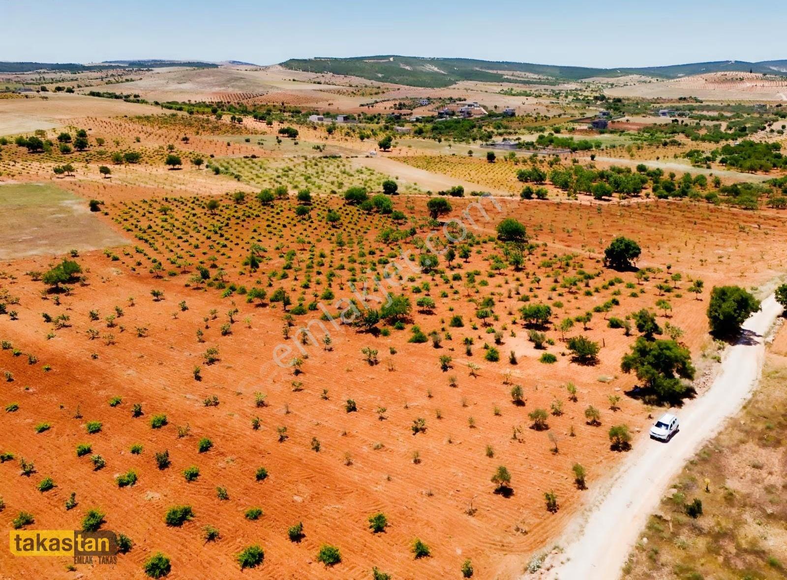Şehre 10 Dk, Yola Cepheli, Manzaralı Tek Tapu Arsa - Görsel 23