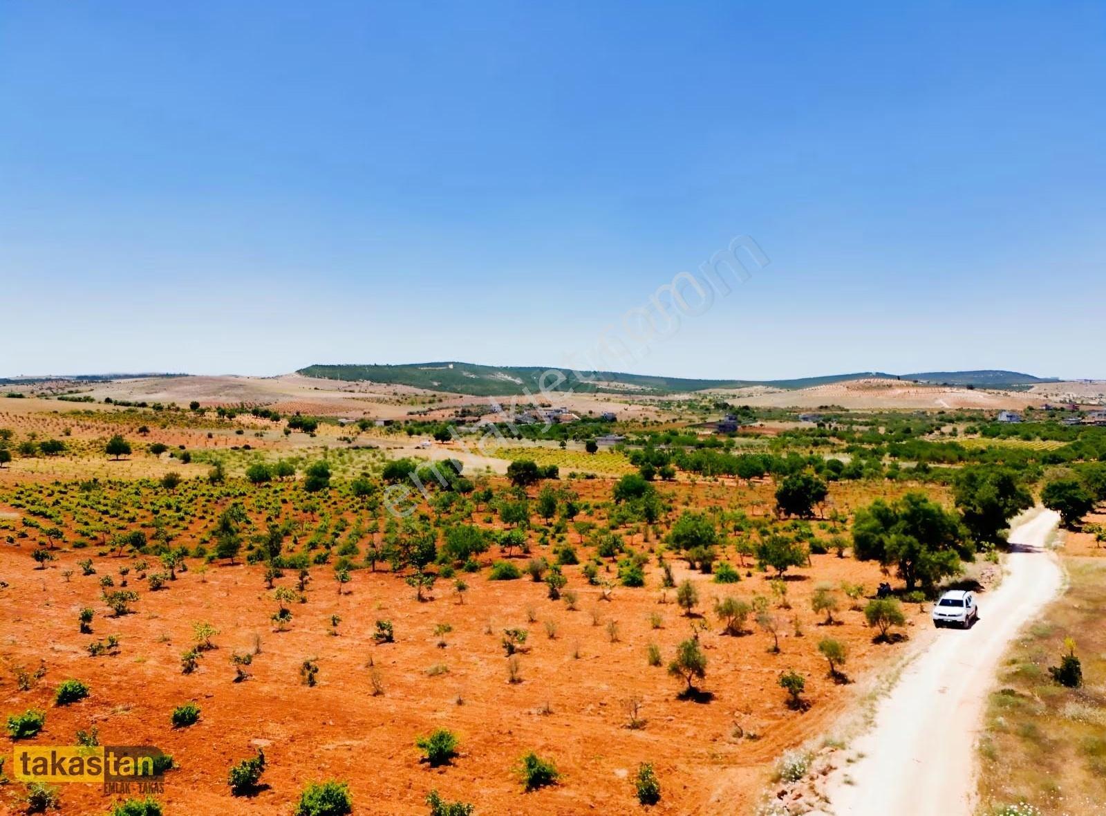 Şehre 10 Dk, Yola Cepheli, Manzaralı Tek Tapu Arsa - Görsel 12