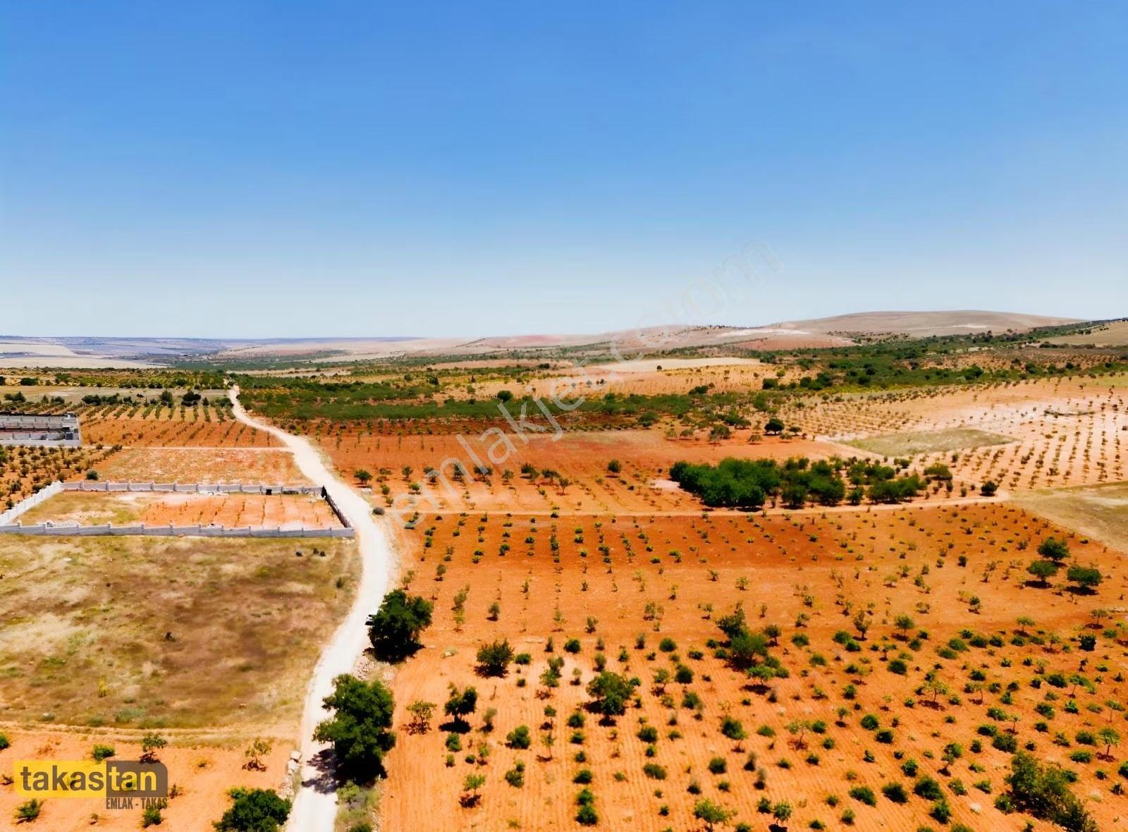 Şehre 10 Dk, Yola Cepheli, Manzaralı Tek Tapu Arsa - Görsel 18