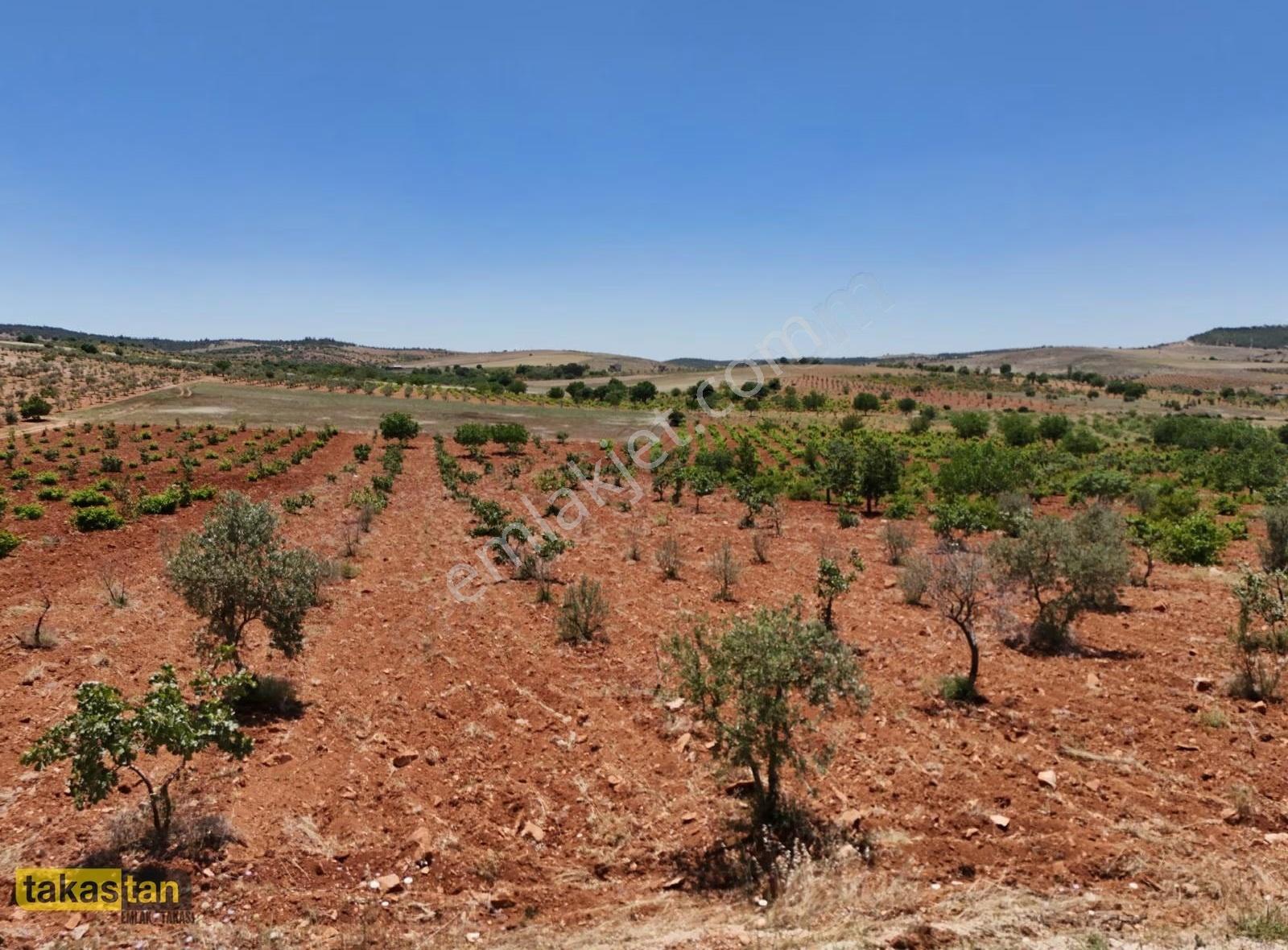 Şehre 10 Dk, Yola Cepheli, Manzaralı Tek Tapu Arsa - Görsel 24