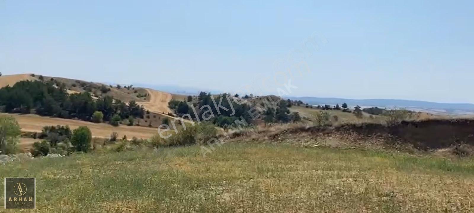 Arhan Emlak'tan Satılık Arazi Kastamonu Merkez Göcen Köyünde - Görsel 2