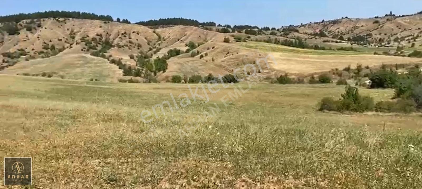Arhan Emlak'tan Satılık Arazi Kastamonu Merkez Göcen Köyünde - Görsel 5