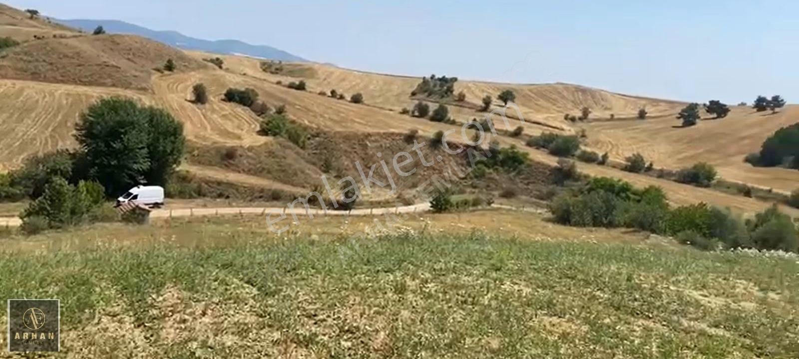 Arhan Emlak'tan Satılık Arazi Kastamonu Merkez Göcen Köyünde - Görsel 4
