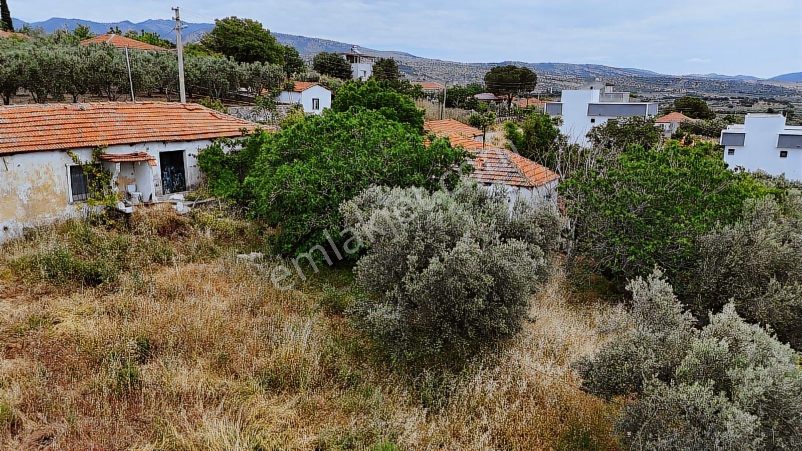 İzmir'in Muhteşem Sahil İlçesinde Deniz Manzaralı İmarlı Arsa - Görsel 9