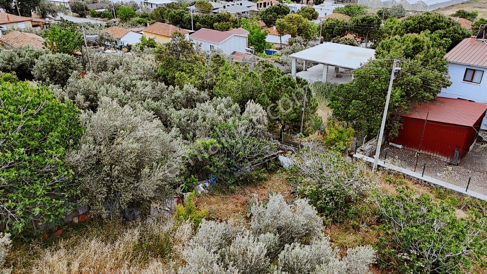 İzmir'in Muhteşem Sahil İlçesinde Deniz Manzaralı İmarlı Arsa - Görsel 4