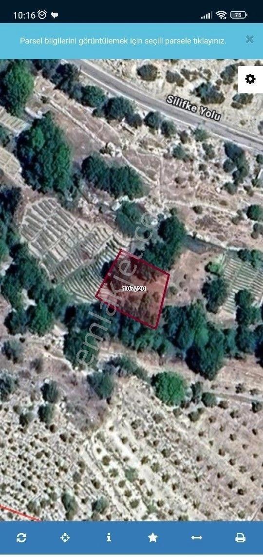Silifke Kıca Mahallesi Yatırım Şık Elma Bahcesi Ana Yola Yakın 416 M2 Satılık - Görsel 3
