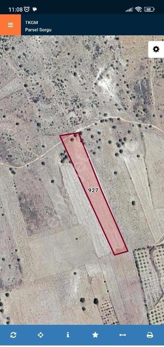 Silifke Kavak Yolu Olan 10.500 M2 Satılık