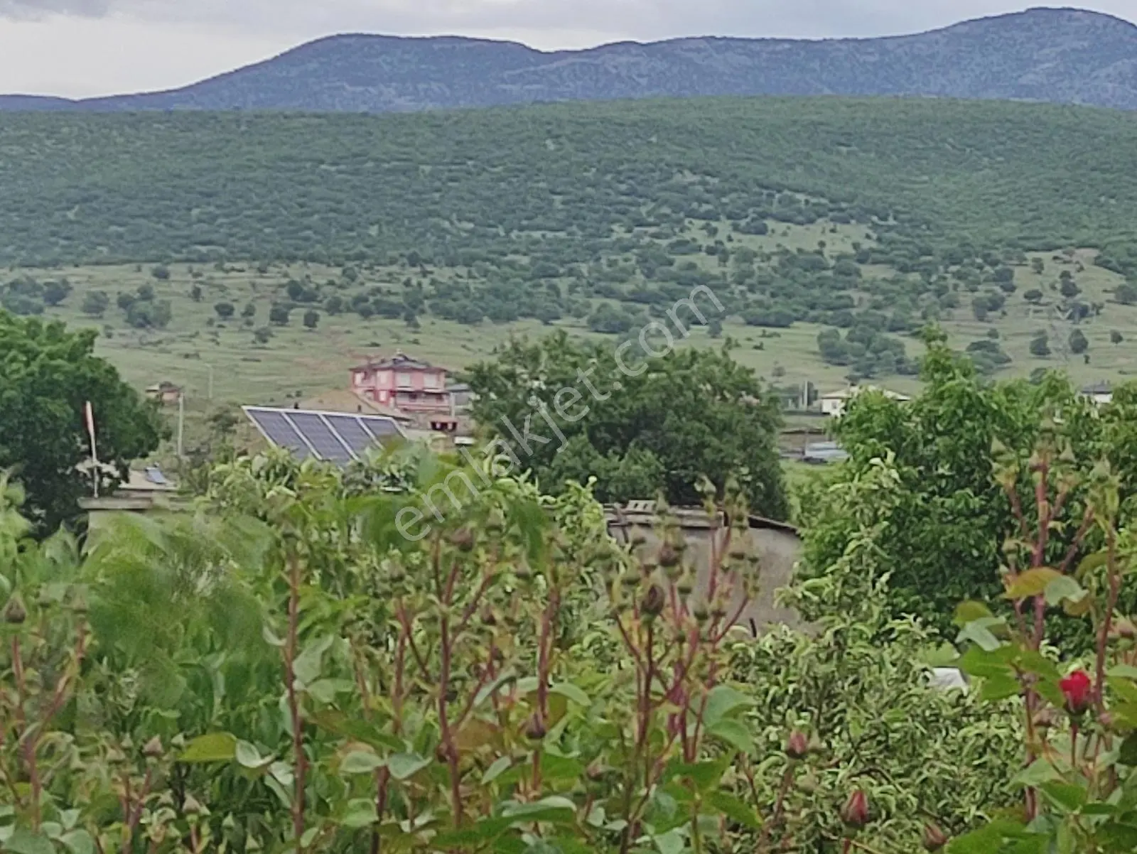 Özpınar,dan Çavuş Köyü Yol Kenarı Sulu Tarla 8850 M2 - Görsel 10