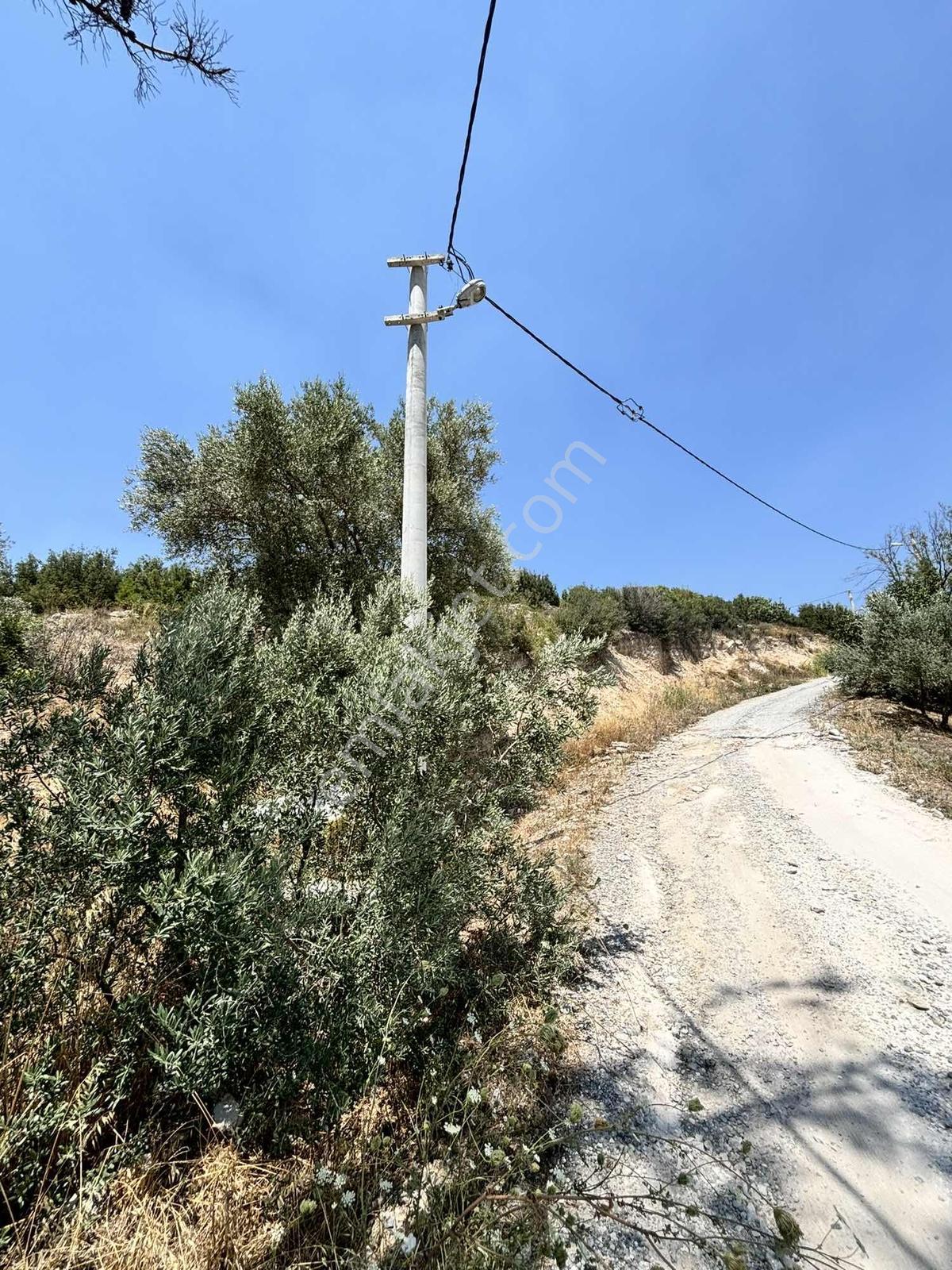 Karakoç Emlak Satılık Arsa 502m2 Ana Yol Kenarı - Görsel 14