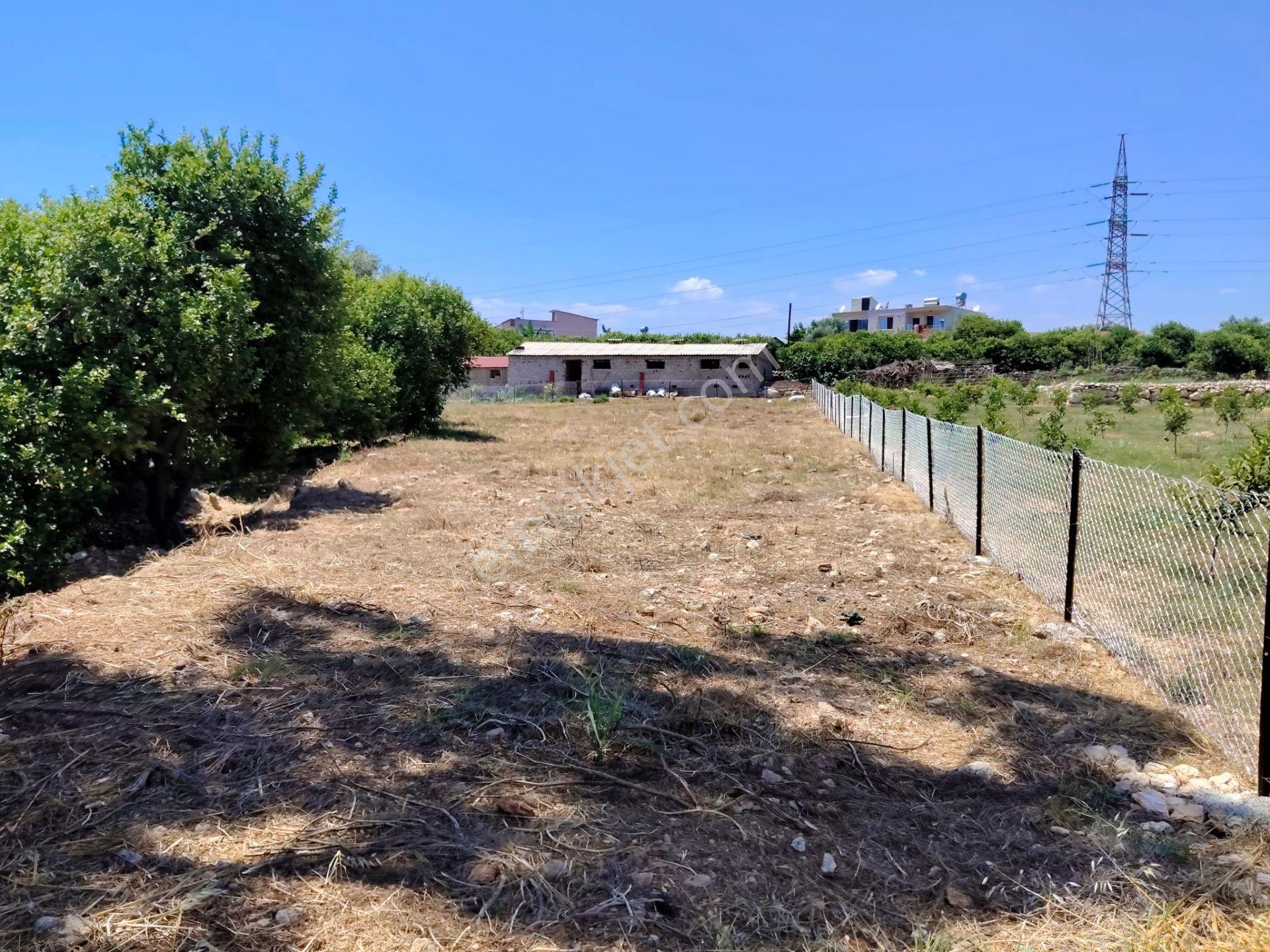 Mersin Erdemli Arpaçbahşiş'de Satılık Hisseli Tarla - Görsel 3