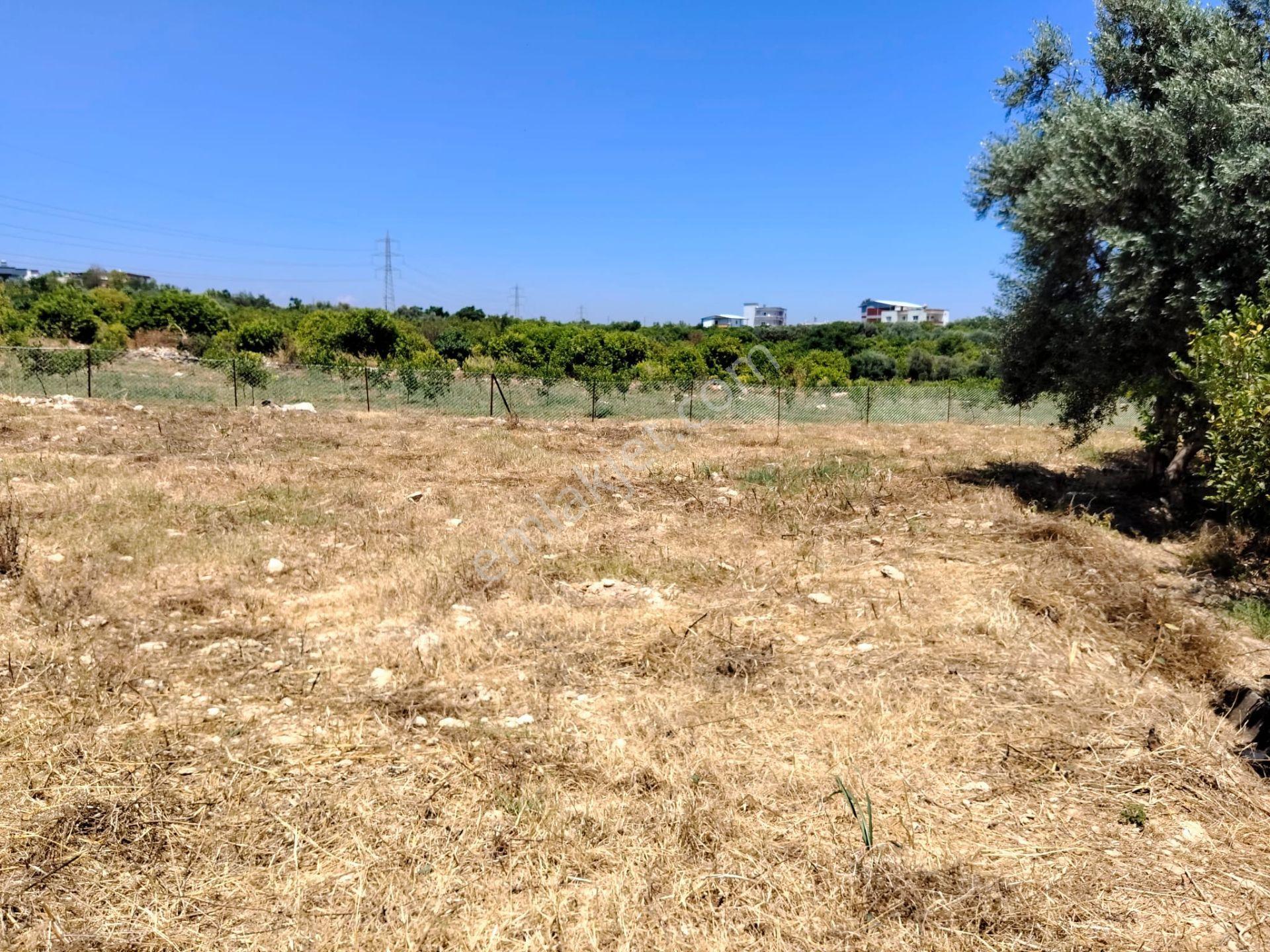 Mersin Erdemli Arpaçbahşiş'de Satılık Hisseli Tarla - Görsel 2