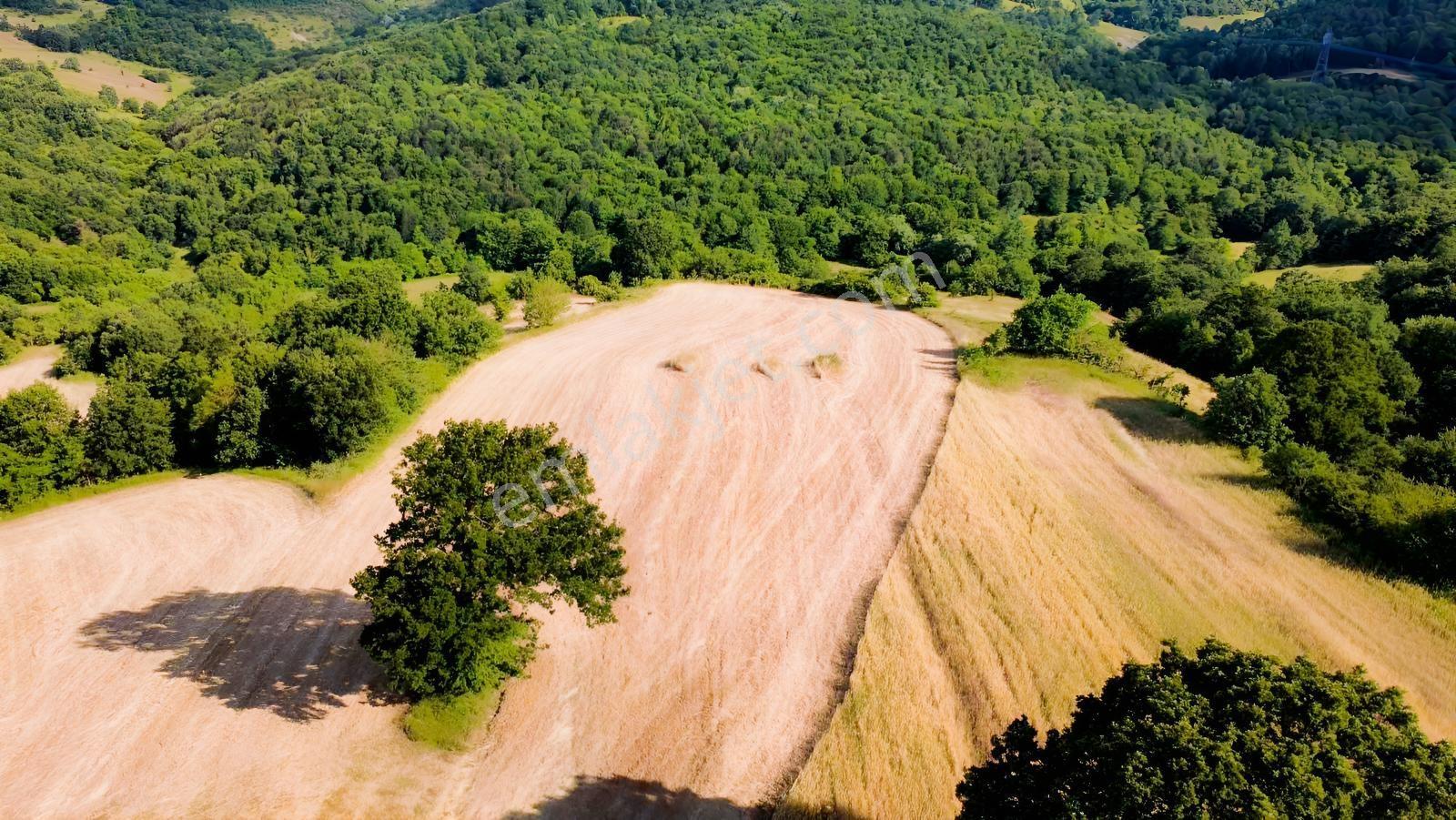 Yoldaş Emlaktan Kalburcu Küyünde %30 İmarlı Satılık 4250 M2 Arsa - Görsel 15