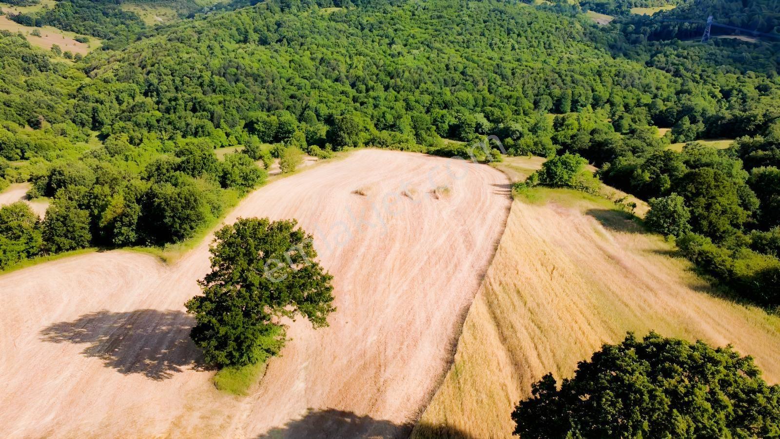 Yoldaş Emlaktan Kalburcu Küyünde %30 İmarlı Satılık 4250 M2 Arsa - Görsel 2