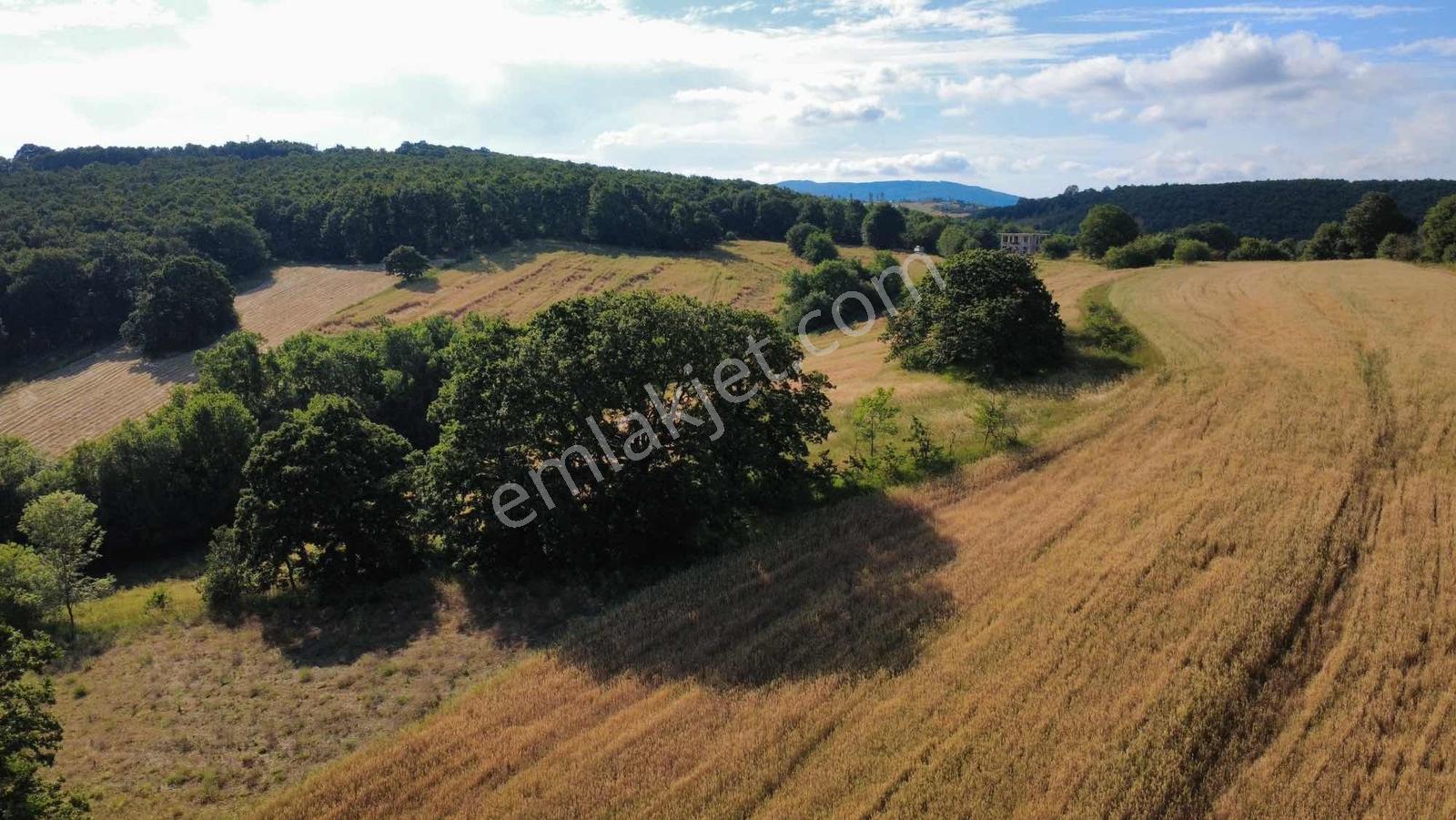 Yoldaş Emlaktan Kalburcu Küyünde %30 İmarlı Satılık 4250 M2 Arsa - Görsel 4