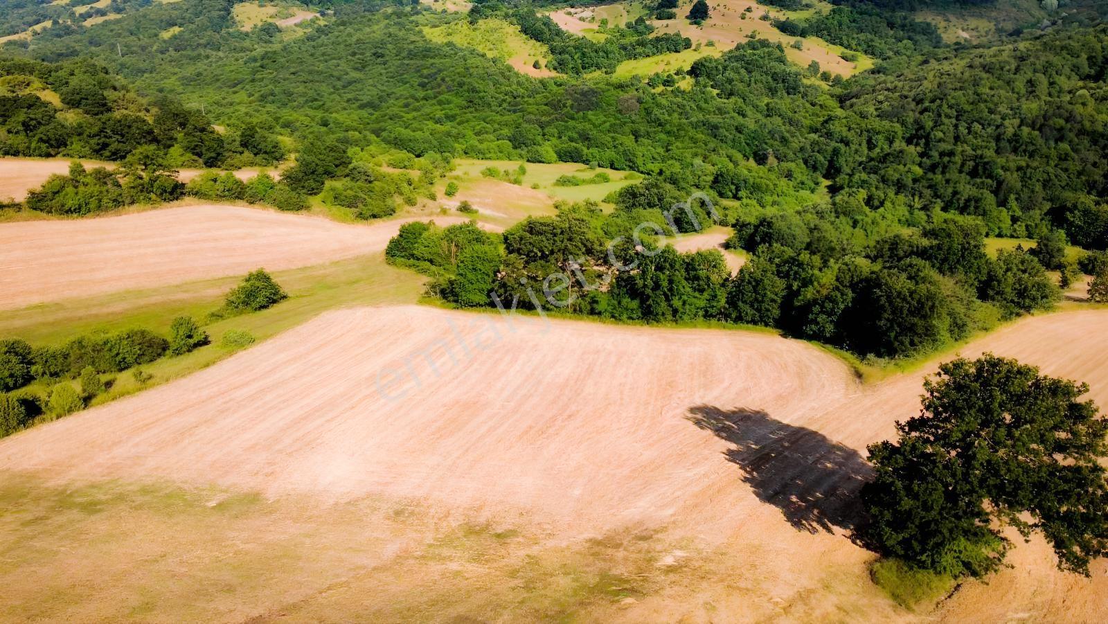Yoldaş Emlaktan Kalburcu Küyünde %30 İmarlı Satılık 4250 M2 Arsa - Görsel 6