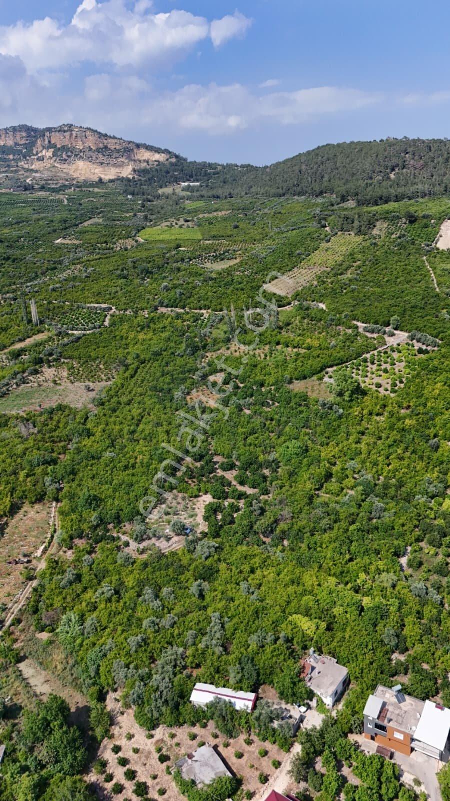 Thor'dan Mersin Yenişehir Karahacılı Mahallesi'nde Hisseli Arsa - Görsel 46