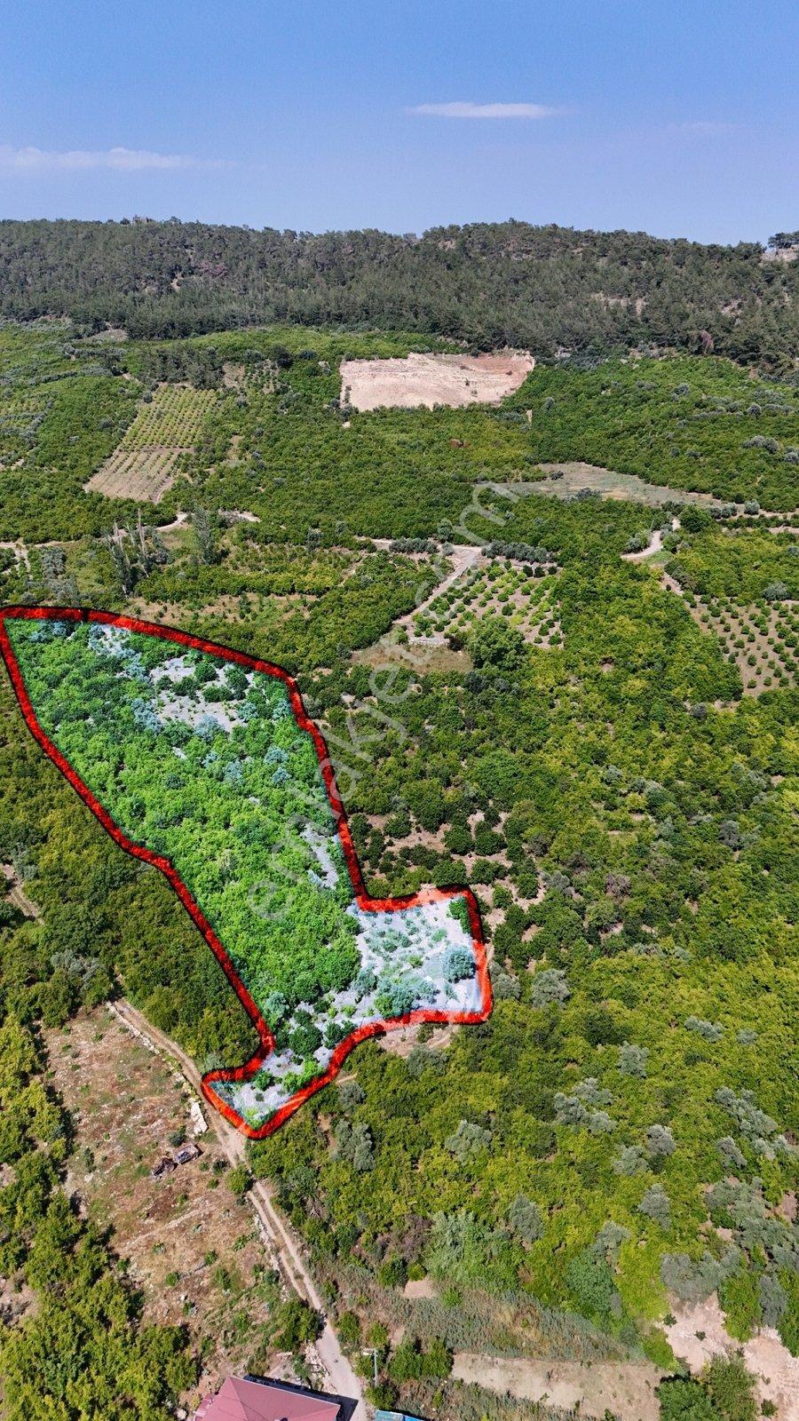 Thor'dan Mersin Yenişehir Karahacılı Mahallesi'nde Hisseli Arsa - Görsel 39