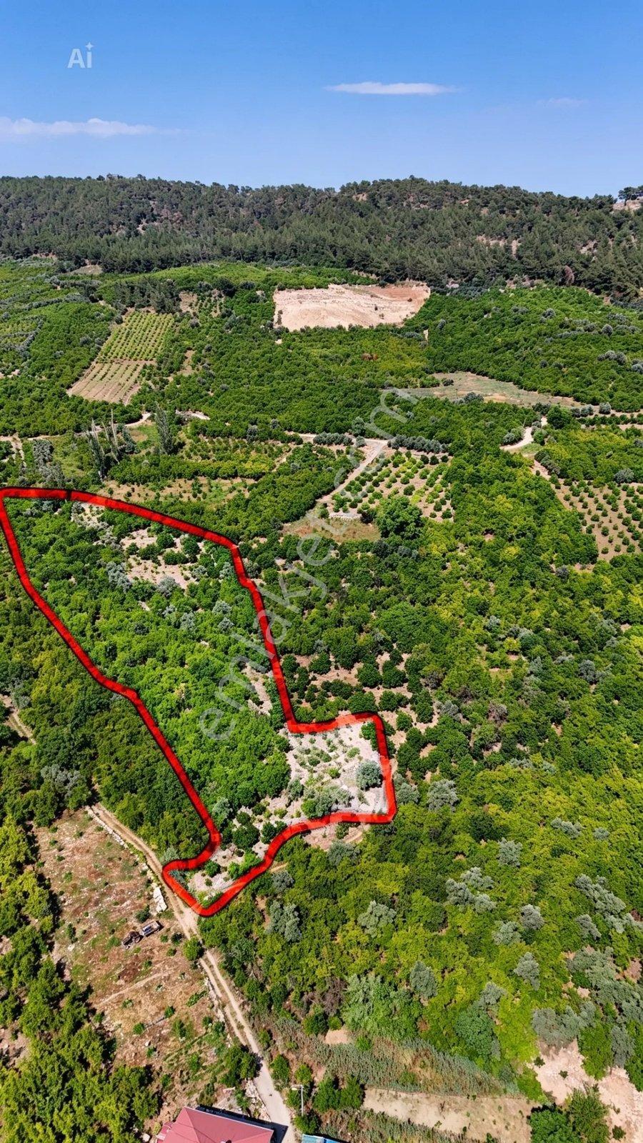 Thor'dan Mersin Yenişehir Karahacılı Mahallesi'nde Hisseli Arsa - Görsel 44